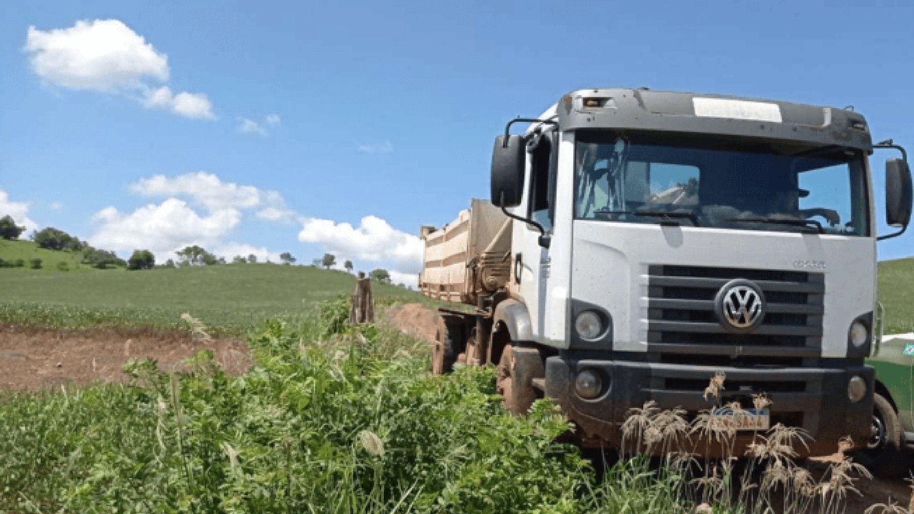 Produtores do agro trocam EUA por novos mercados após tarifa de 25%