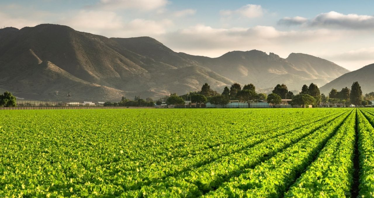 Cerca de 15% do crédito rural concedido entre 2019 e 2025 foi para áreas com alertas ambientais – Money Times